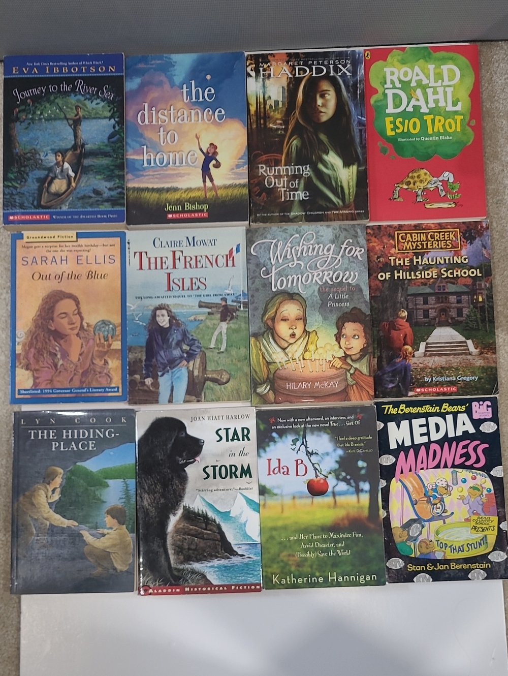 12 Assorted Chapter Books For Young Readers